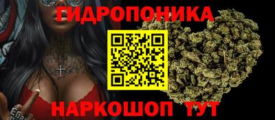мяу мяу мука Моздок